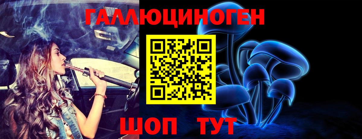 что такое   Галлюциногенные грибы GOLDEN TEACHER  Псилоцибиновые грибы Magic Shrooms  Вход с VPN  Чебаркуль 